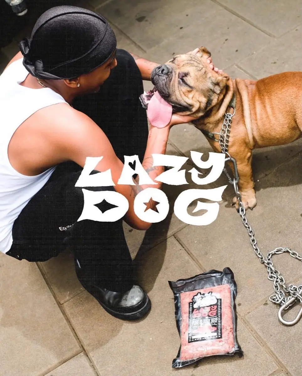 A bulldog with a Lazy Dog raw food pack